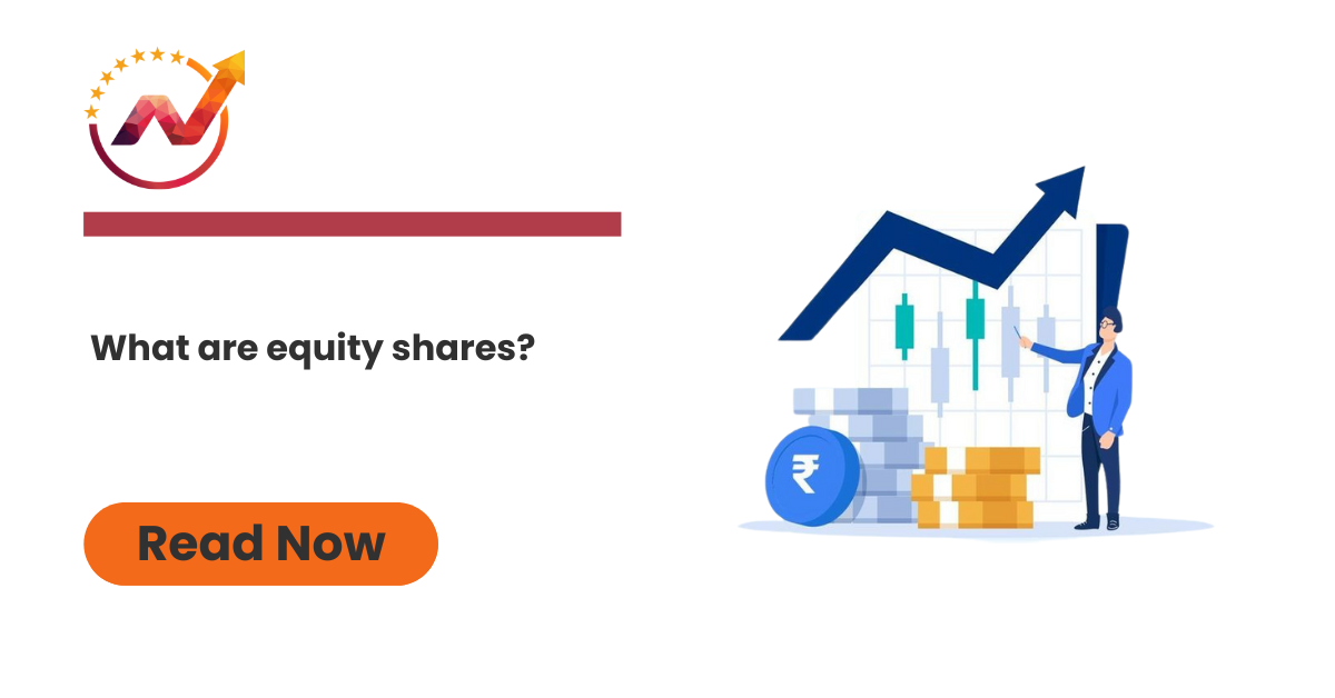 What are equity shares?